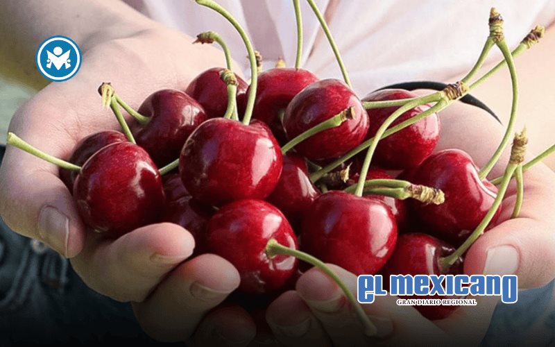 Cerezas del Noroeste viven una temporada excepcional con mayor volumen y calidad