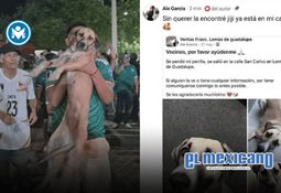 Aficionado celebra gol de M&eacute;xico durante juego de b&eacute;isbol