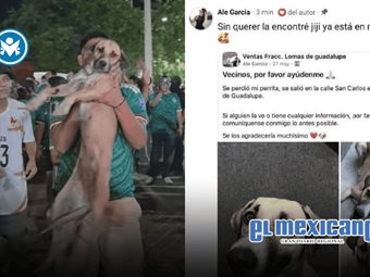 Por transmisi&oacute;n de festejo del mundial, encuentran a perro perdido