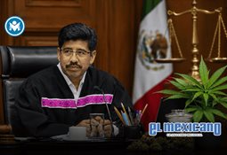 Dirigente juvenil de Morena en Zacatecas es separado del cargo tras agresi&oacute;n a una mujer