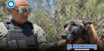 Tijuana despide con honores a Rambo, agente K-9 pionero en detecci&oacute;n de bombas