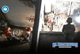 EU propone revisi&oacute;n anual del T-MEC y rechaza renovaci&oacute;n a largo plazo