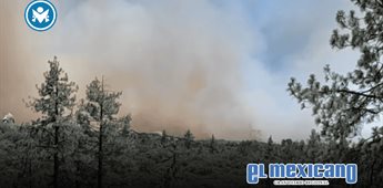 Incendio forestal consume 40 hect&aacute;reas de pino en la Sierra de Ju&aacute;rez