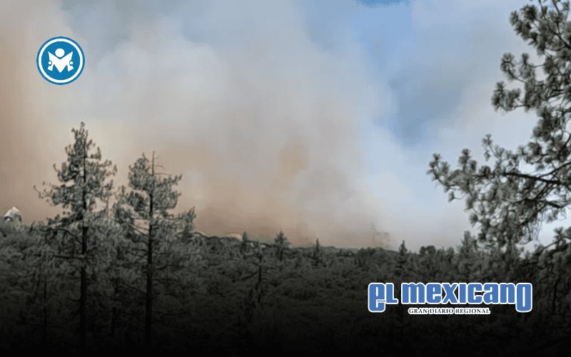 Incendio forestal consume 40 hectáreas de pino en la Sierra de Juárez Incendio forestal consume 40 hectáreas de pino en la Sierra de Juárez