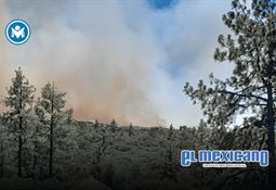 Dejan amenaza y restos de cerdo en consultorios de Zona R&iacute;o