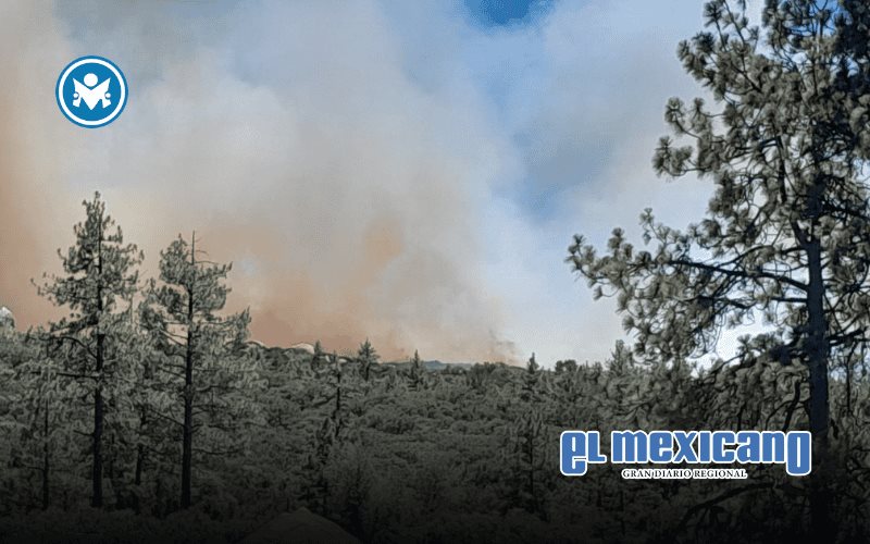 Incendio en Sierra de Ju&aacute;rez consume 40 hect&aacute;reas de bosque
