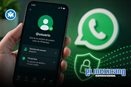WhatsApp permitirá usar nombres de usuario para proteger la privacidad WhatsApp permitirá usar nombres de usuario para proteger la privacidad