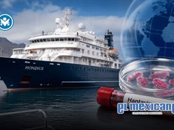 OMS da por concluido brote de hantavirus en crucero