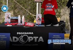 Reducci&oacute;n de homicidios debe ser analizada con prudencia y responsabilidad: Flores Campbell