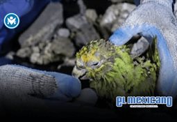 El Mayo Zambada acepta la cadena perpetua que enfrenta en EU