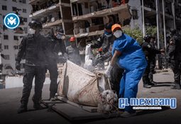 Muere Panchito, el loro rescatado tras nueve d&iacute;as bajo los escombros en Venezuela