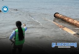 Toyota trasladar&aacute; parte de la producci&oacute;n de la Tacoma de Tijuana a Texas